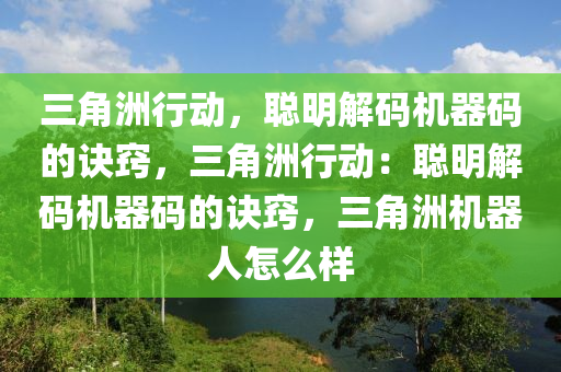 三角洲行动，聪明解码机器码的诀窍，三角洲行动：聪明解码机器码的诀窍，三角洲机器人怎么样