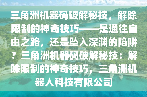 三角洲机器码破解秘技，解除限制的神奇技巧——是通往自由之路，还是坠入深渊的陷阱？三角洲机器码破解秘技：解除限制的神奇技巧，三角洲机器人科技有限公司