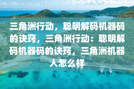 三角洲行动，聪明解码机器码的诀窍，三角洲行动：聪明解码机器码的诀窍，三角洲机器人怎么样