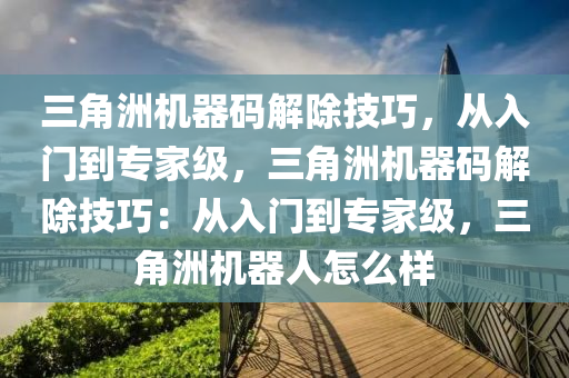 三角洲机器码解除技巧，从入门到专家级，三角洲机器码解除技巧：从入门到专家级，三角洲机器人怎么样