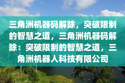 三角洲机器码解除，突破限制的智慧之道，三角洲机器码解除：突破限制的智慧之道，三角洲机器人科技有限公司