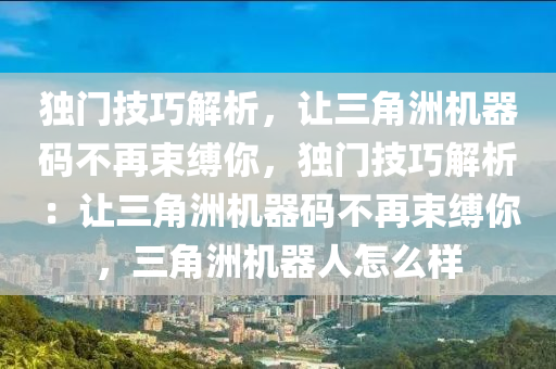 独门技巧解析，让三角洲机器码不再束缚你，独门技巧解析：让三角洲机器码不再束缚你，三角洲机器人怎么样