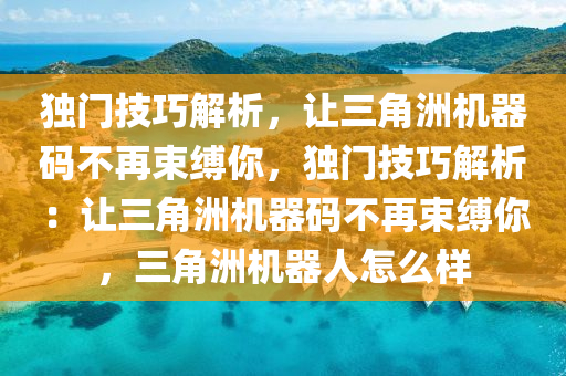 独门技巧解析，让三角洲机器码不再束缚你，独门技巧解析：让三角洲机器码不再束缚你，三角洲机器人怎么样