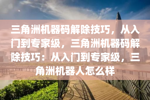 三角洲机器码解除技巧，从入门到专家级，三角洲机器码解除技巧：从入门到专家级，三角洲机器人怎么样