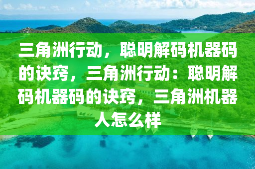 三角洲行动，聪明解码机器码的诀窍，三角洲行动：聪明解码机器码的诀窍，三角洲机器人怎么样