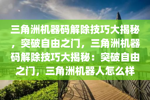 三角洲机器码解除技巧大揭秘，突破自由之门，三角洲机器码解除技巧大揭秘：突破自由之门，三角洲机器人怎么样