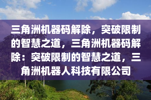三角洲机器码解除，突破限制的智慧之道，三角洲机器码解除：突破限制的智慧之道，三角洲机器人科技有限公司