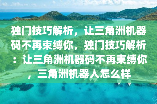 独门技巧解析，让三角洲机器码不再束缚你，独门技巧解析：让三角洲机器码不再束缚你，三角洲机器人怎么样