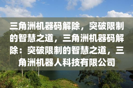 三角洲机器码解除，突破限制的智慧之道，三角洲机器码解除：突破限制的智慧之道，三角洲机器人科技有限公司