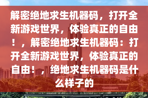 解密绝地求生机器码，打开全新游戏世界，体验真正的自由！，解密绝地求生机器码：打开全新游戏世界，体验真正的自由！，绝地求生机器码是什么样子的