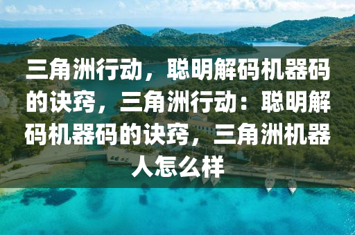 三角洲行动，聪明解码机器码的诀窍，三角洲行动：聪明解码机器码的诀窍，三角洲机器人怎么样