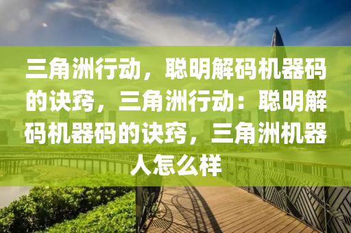 三角洲行动，聪明解码机器码的诀窍，三角洲行动：聪明解码机器码的诀窍，三角洲机器人怎么样