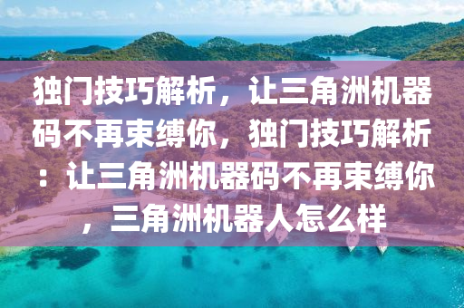 独门技巧解析，让三角洲机器码不再束缚你，独门技巧解析：让三角洲机器码不再束缚你，三角洲机器人怎么样
