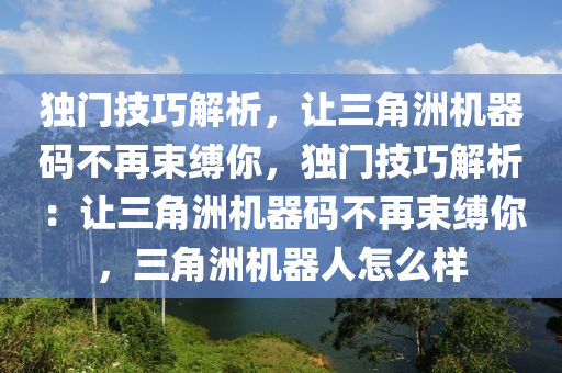 独门技巧解析，让三角洲机器码不再束缚你，独门技巧解析：让三角洲机器码不再束缚你，三角洲机器人怎么样