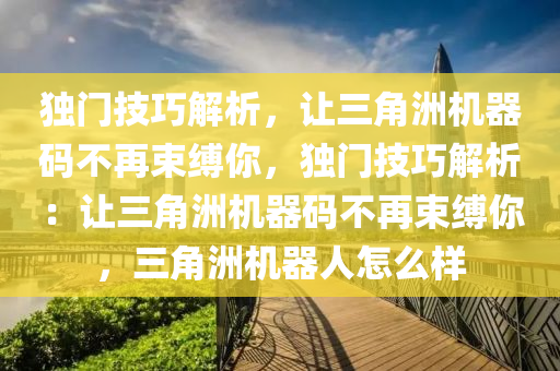 独门技巧解析，让三角洲机器码不再束缚你，独门技巧解析：让三角洲机器码不再束缚你，三角洲机器人怎么样