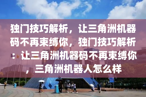 独门技巧解析，让三角洲机器码不再束缚你，独门技巧解析：让三角洲机器码不再束缚你，三角洲机器人怎么样
