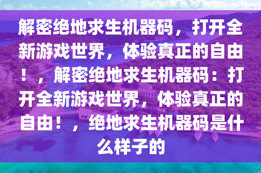 解密绝地求生机器码，打开全新游戏世界，体验真正的自由！，解密绝地求生机器码：打开全新游戏世界，体验真正的自由！，绝地求生机器码是什么样子的