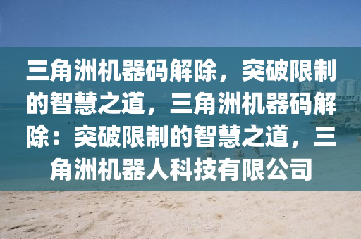 三角洲机器码解除，突破限制的智慧之道，三角洲机器码解除：突破限制的智慧之道，三角洲机器人科技有限公司