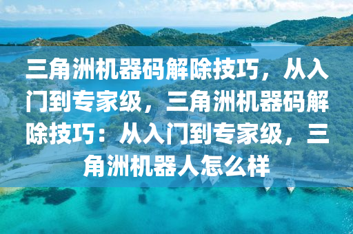 三角洲机器码解除技巧，从入门到专家级，三角洲机器码解除技巧：从入门到专家级，三角洲机器人怎么样