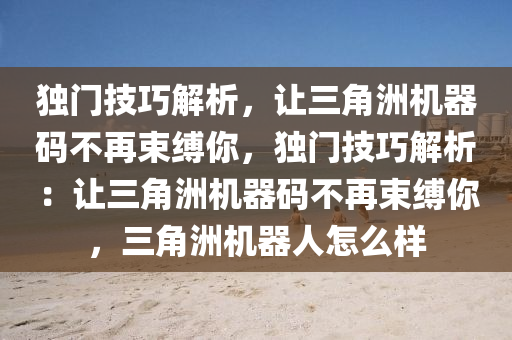 独门技巧解析，让三角洲机器码不再束缚你，独门技巧解析：让三角洲机器码不再束缚你，三角洲机器人怎么样