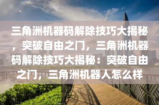 三角洲机器码解除技巧大揭秘，突破自由之门，三角洲机器码解除技巧大揭秘：突破自由之门，三角洲机器人怎么样