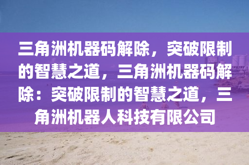 三角洲机器码解除，突破限制的智慧之道，三角洲机器码解除：突破限制的智慧之道，三角洲机器人科技有限公司