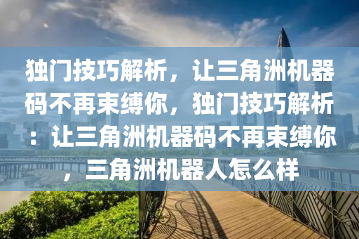 独门技巧解析，让三角洲机器码不再束缚你，独门技巧解析：让三角洲机器码不再束缚你，三角洲机器人怎么样
