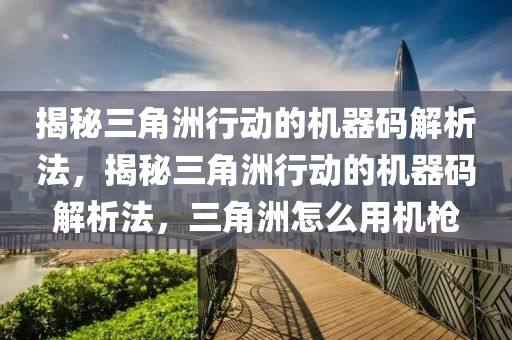 揭秘三角洲行动的机器码解析法，揭秘三角洲行动的机器码解析法，三角洲怎么用机枪