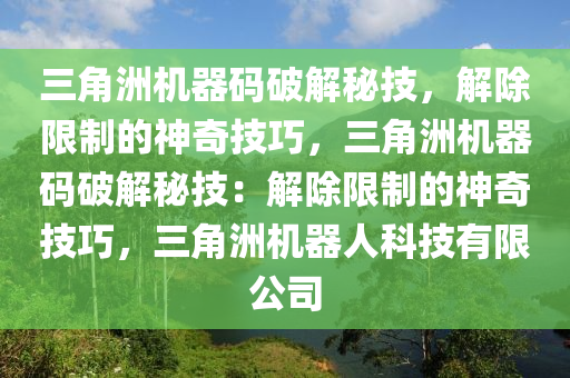 三角洲机器码破解秘技，解除限制的神奇技巧，三角洲机器码破解秘技：解除限制的神奇技巧，三角洲机器人科技有限公司