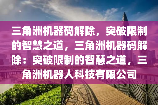 三角洲机器码解除，突破限制的智慧之道，三角洲机器码解除：突破限制的智慧之道，三角洲机器人科技有限公司