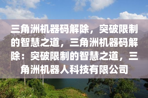 三角洲机器码解除，突破限制的智慧之道，三角洲机器码解除：突破限制的智慧之道，三角洲机器人科技有限公司