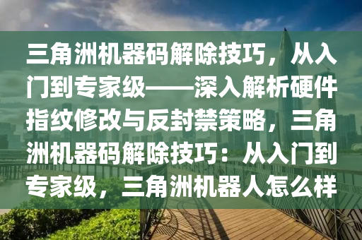 三角洲机器码解除技巧，从入门到专家级——深入解析硬件指纹修改与反封禁策略，三角洲机器码解除技巧：从入门到专家级，三角洲机器人怎么样