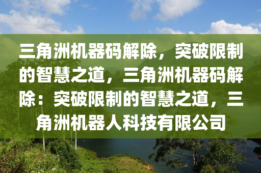 三角洲机器码解除，突破限制的智慧之道，三角洲机器码解除：突破限制的智慧之道，三角洲机器人科技有限公司