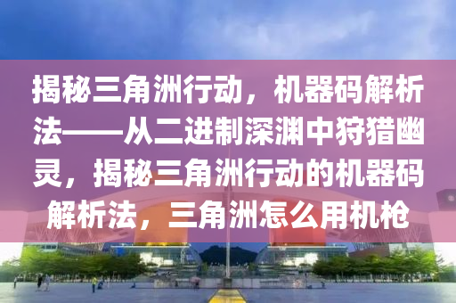揭秘三角洲行动，机器码解析法——从二进制深渊中狩猎幽灵，揭秘三角洲行动的机器码解析法，三角洲怎么用机枪