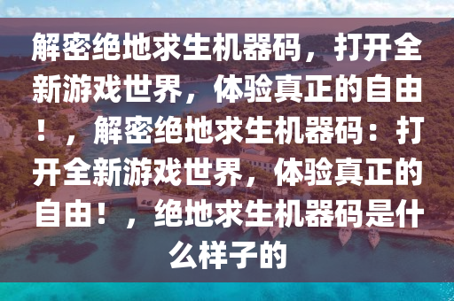 解密绝地求生机器码，打开全新游戏世界，体验真正的自由！，解密绝地求生机器码：打开全新游戏世界，体验真正的自由！，绝地求生机器码是什么样子的