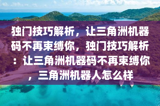独门技巧解析，让三角洲机器码不再束缚你，独门技巧解析：让三角洲机器码不再束缚你，三角洲机器人怎么样