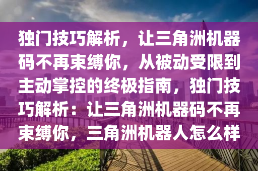 独门技巧解析，让三角洲机器码不再束缚你，从被动受限到主动掌控的终极指南，独门技巧解析：让三角洲机器码不再束缚你，三角洲机器人怎么样