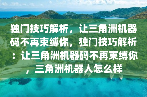 独门技巧解析，让三角洲机器码不再束缚你，独门技巧解析：让三角洲机器码不再束缚你，三角洲机器人怎么样
