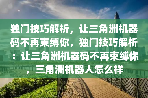 独门技巧解析，让三角洲机器码不再束缚你，独门技巧解析：让三角洲机器码不再束缚你，三角洲机器人怎么样