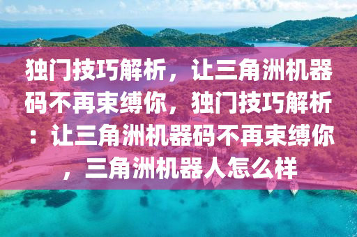 独门技巧解析，让三角洲机器码不再束缚你，独门技巧解析：让三角洲机器码不再束缚你，三角洲机器人怎么样