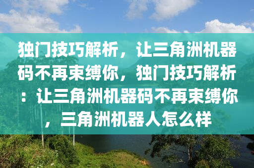 独门技巧解析，让三角洲机器码不再束缚你，独门技巧解析：让三角洲机器码不再束缚你，三角洲机器人怎么样
