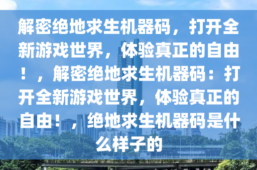 解密绝地求生机器码，打开全新游戏世界，体验真正的自由！，解密绝地求生机器码：打开全新游戏世界，体验真正的自由！，绝地求生机器码是什么样子的
