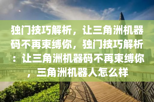 独门技巧解析，让三角洲机器码不再束缚你，独门技巧解析：让三角洲机器码不再束缚你，三角洲机器人怎么样