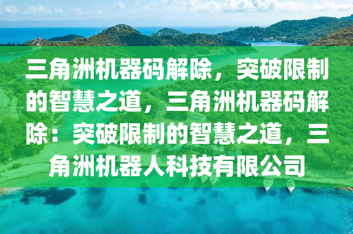三角洲机器码解除，突破限制的智慧之道，三角洲机器码解除：突破限制的智慧之道，三角洲机器人科技有限公司