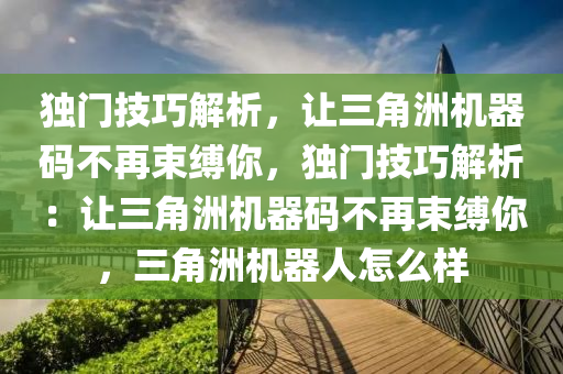 独门技巧解析，让三角洲机器码不再束缚你，独门技巧解析：让三角洲机器码不再束缚你，三角洲机器人怎么样