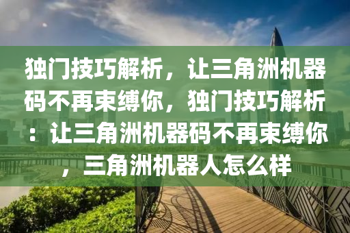 独门技巧解析，让三角洲机器码不再束缚你，独门技巧解析：让三角洲机器码不再束缚你，三角洲机器人怎么样