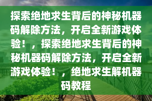 探索绝地求生背后的神秘机器码解除方法，开启全新游戏体验！，探索绝地求生背后的神秘机器码解除方法，开启全新游戏体验！，绝地求生解机器码教程