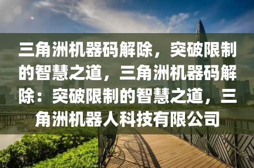 三角洲机器码解除，突破限制的智慧之道，三角洲机器码解除：突破限制的智慧之道，三角洲机器人科技有限公司