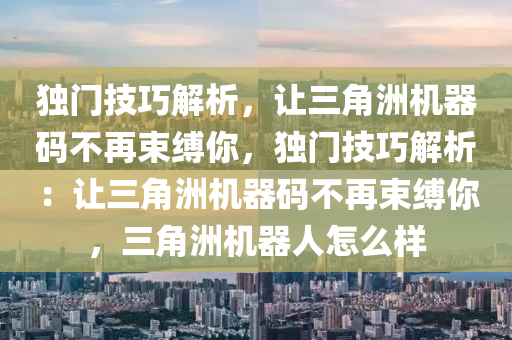 独门技巧解析，让三角洲机器码不再束缚你，独门技巧解析：让三角洲机器码不再束缚你，三角洲机器人怎么样