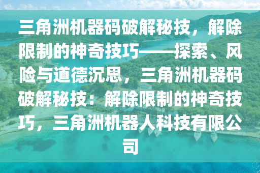 三角洲机器码破解秘技，解除限制的神奇技巧——探索、风险与道德沉思，三角洲机器码破解秘技：解除限制的神奇技巧，三角洲机器人科技有限公司